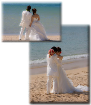 Beach Weddings At Assateague Island