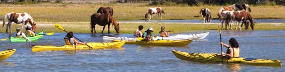 Assateague Kayak Trip