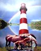 Assateague Island Homepage