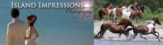 Island Impressions Photography