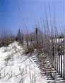 Beachfront Vacation Cottages