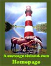 Assateague Island Home Page