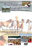 One of America's most compelling stories about the legendary Wild Ponies of Assateague Island. Anyone who loves horses & wildlife will adore this documentary film. 
