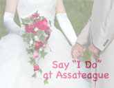 Assateague Weddings